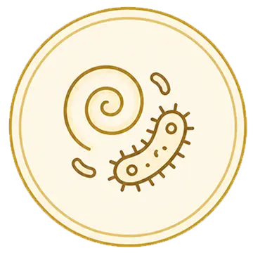 Bakterija