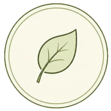 List